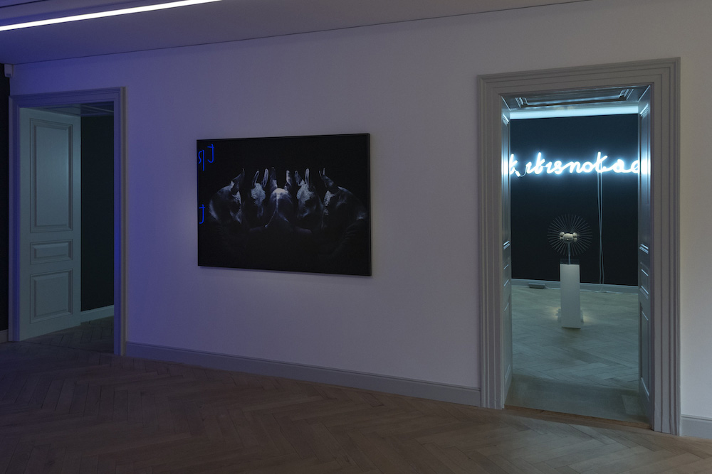 Yael Bartana Galerie Peter Kilchmann 