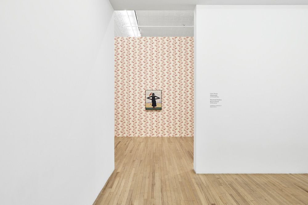 Clare Rojas  Andrew Kreps Gallery 