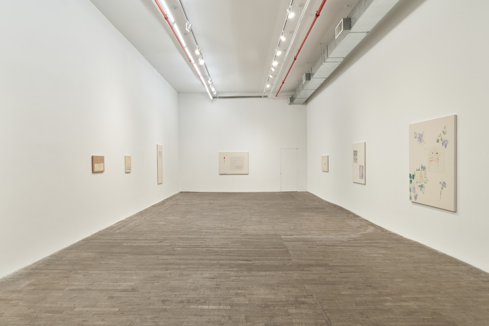 Sofia Silva Andrew Kreps Gallery 