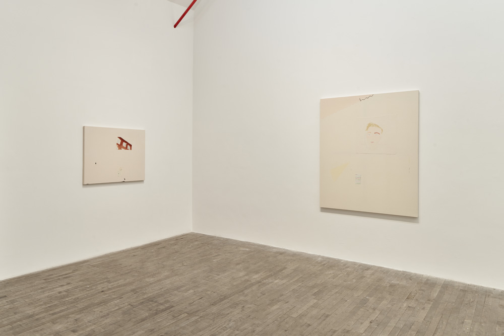 Sofia Silva Andrew Kreps Gallery 