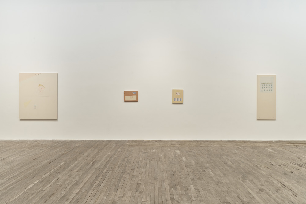 Sofia Silva Andrew Kreps Gallery 