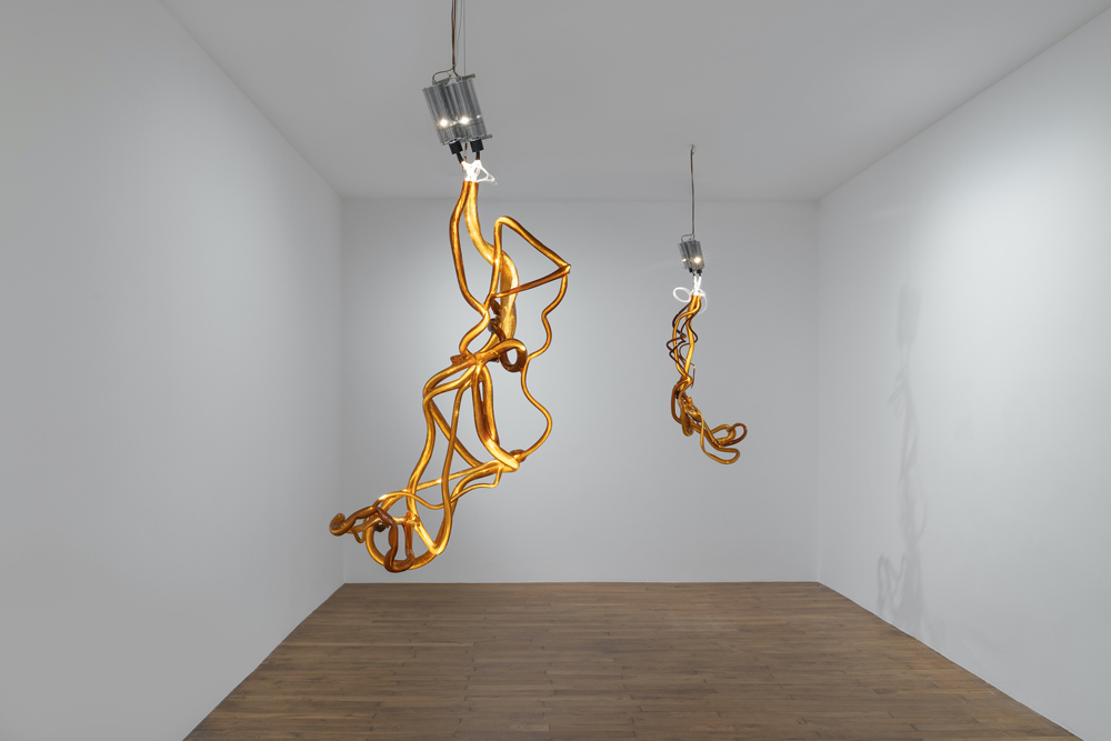 Allora & Calzadilla Galerie Chantal Crousel 