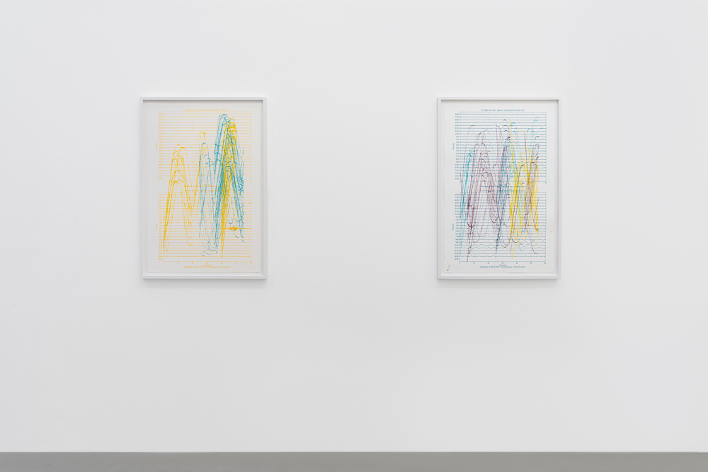 Allora & Calzadilla Galerie Chantal Crousel 