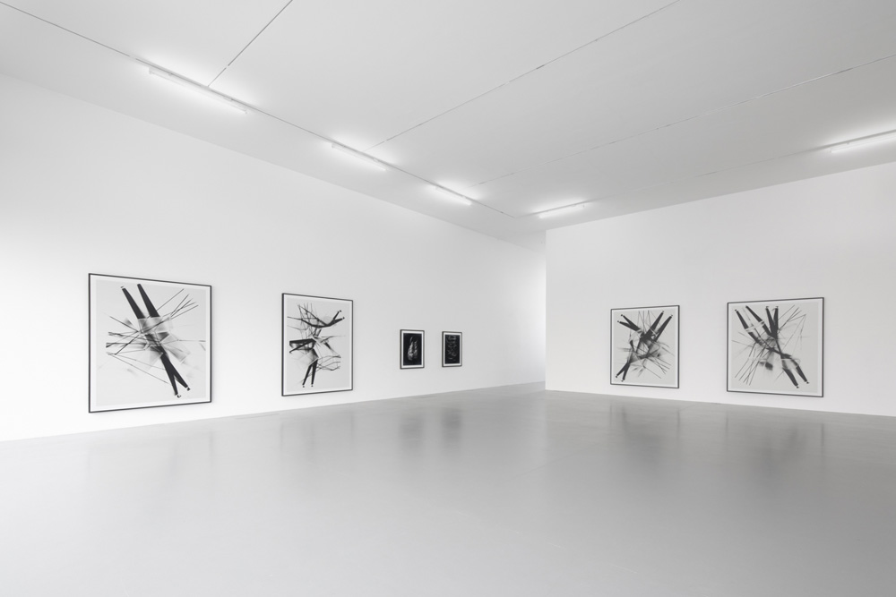 Thomas Ruff Lia Rumma Gallery 