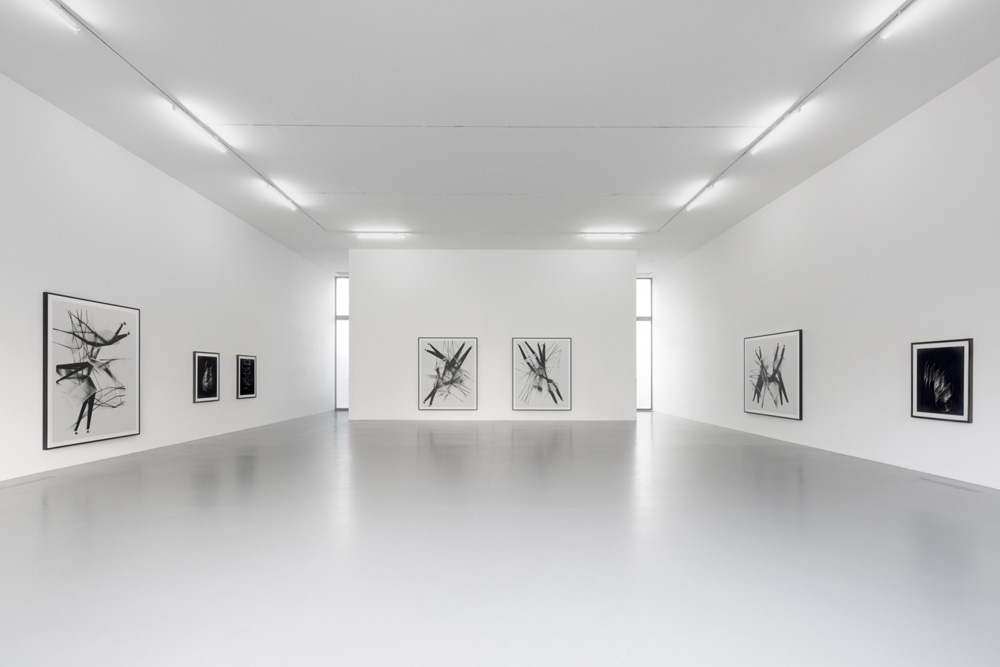 Thomas Ruff Lia Rumma Gallery 