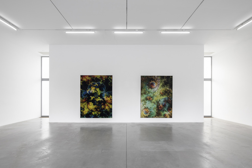 Thomas Ruff Lia Rumma Gallery 