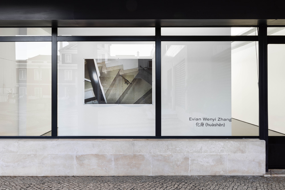 Evian Wenyi Zhang Pedro Cera 