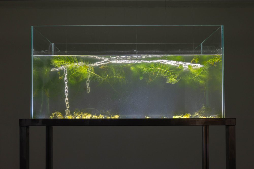 Evian Wenyi Zhang Pedro Cera 