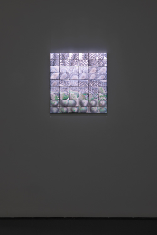 Evian Wenyi Zhang Pedro Cera 