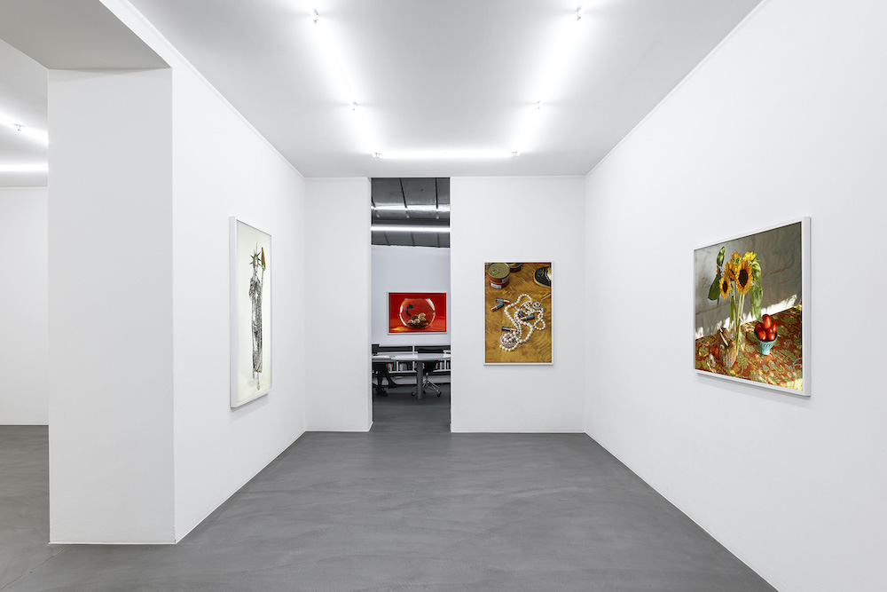 Roe Ethridge Mai 36 Galerie 