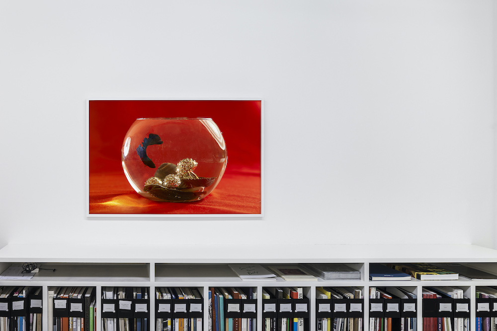 Roe Ethridge Mai 36 Galerie 