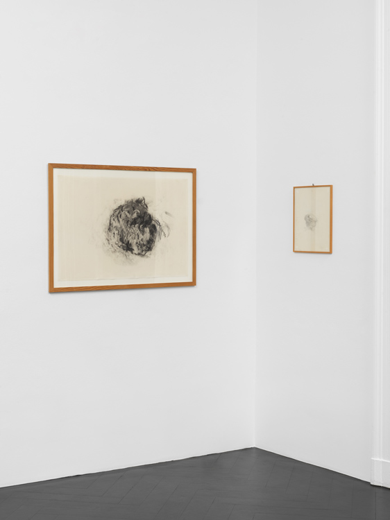 Michael Krebber Galerie Buchholz 