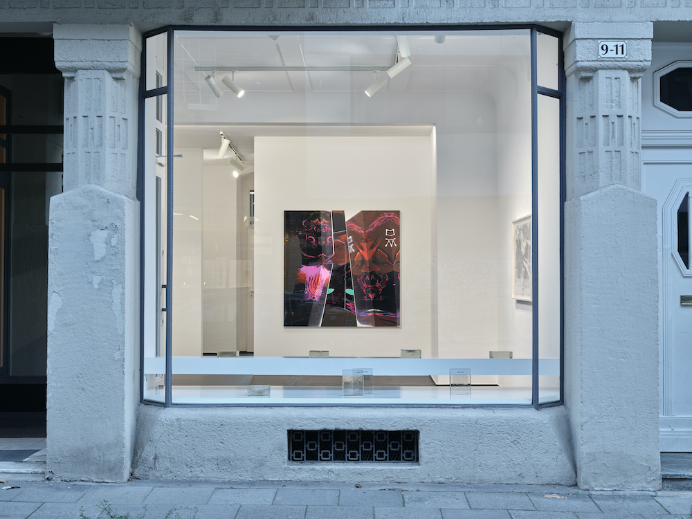 Seth Price Galerie Gisela Capitain 