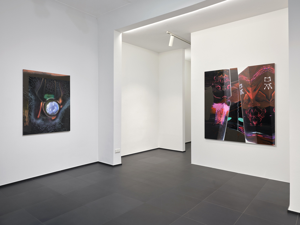 Seth Price Galerie Gisela Capitain 