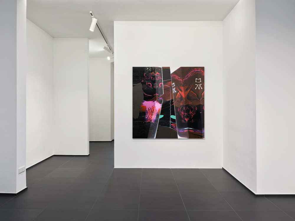 Seth Price Galerie Gisela Capitain 