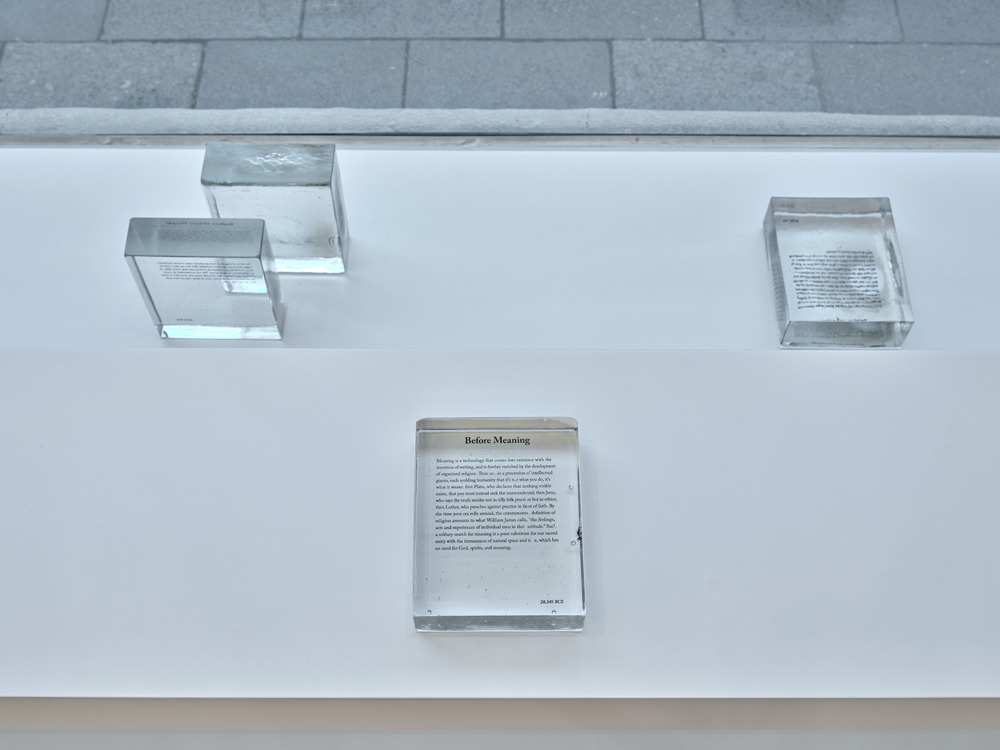 Seth Price Galerie Gisela Capitain 