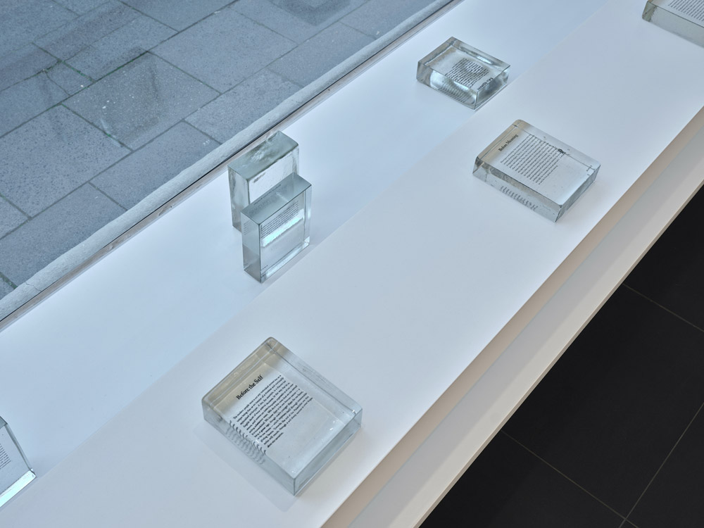 Seth Price Galerie Gisela Capitain 