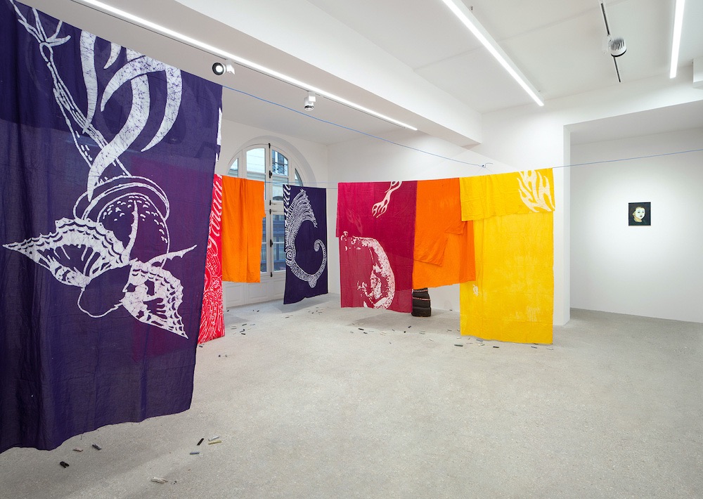 Nina Jayasuriya  Mennour 