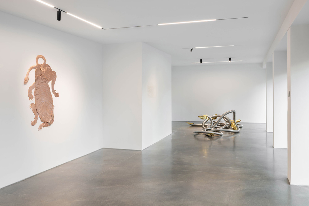 Bekhbaatar Enkhtur Pedro Cera 