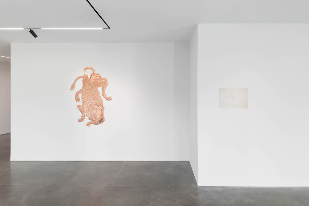 Bekhbaatar Enkhtur Pedro Cera 