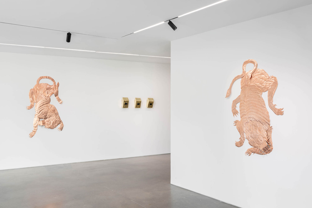 Bekhbaatar Enkhtur Pedro Cera 