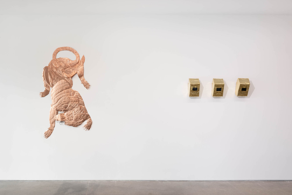 Bekhbaatar Enkhtur Pedro Cera 