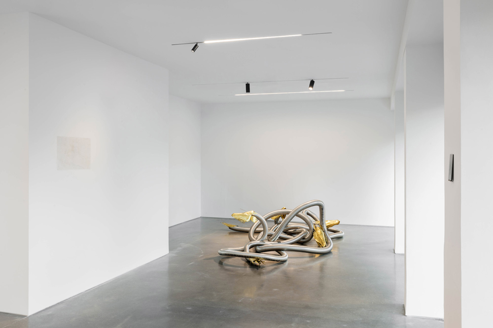 Bekhbaatar Enkhtur Pedro Cera 