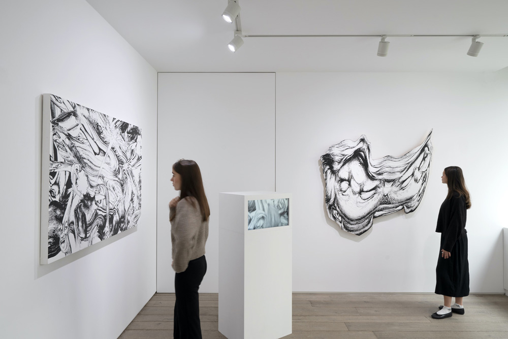 Jim Shaw Loevenbruck 