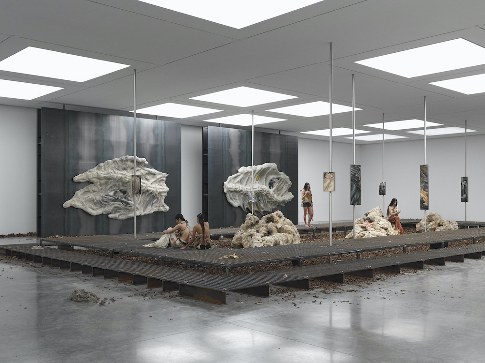 Klára Hosnedlová White Cube 