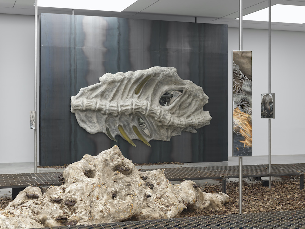 Klára Hosnedlová White Cube 