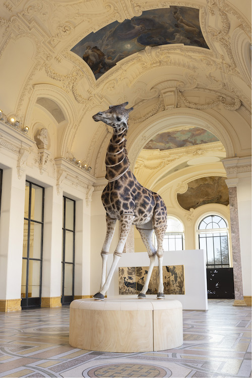 Julius von Bismarck Sies + Höke Galerie 