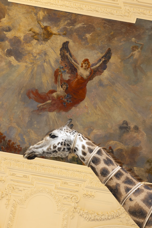 Julius von Bismarck Sies + Höke Galerie 