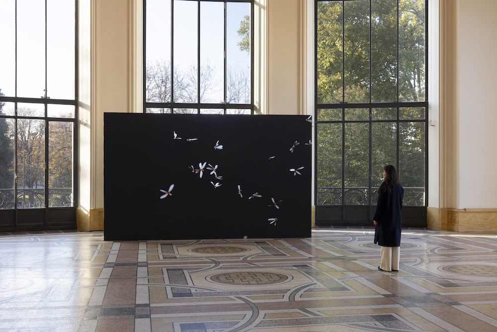 Julius von Bismarck Sies + Höke Galerie 