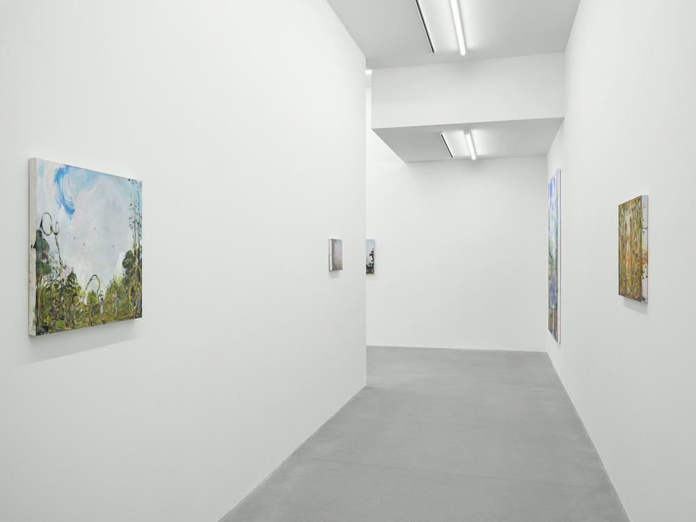 Verne Dawson Galerie Eva Presenhuber 