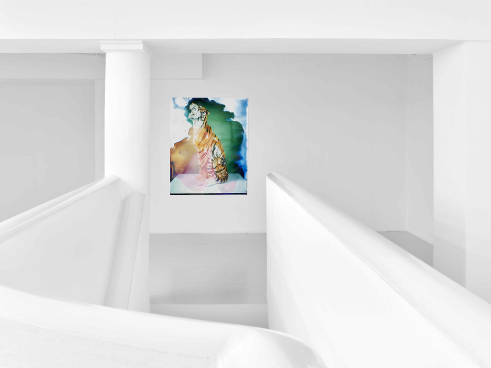 Laurent Le Deunff Sies + Höke Galerie 