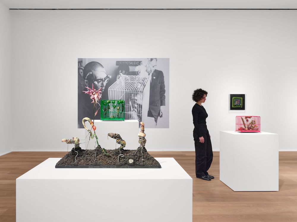 Tetsumi Kudo Hauser & Wirth 