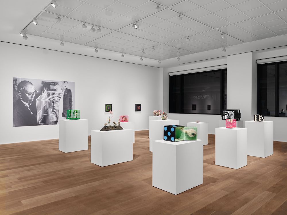 Tetsumi Kudo Hauser & Wirth 