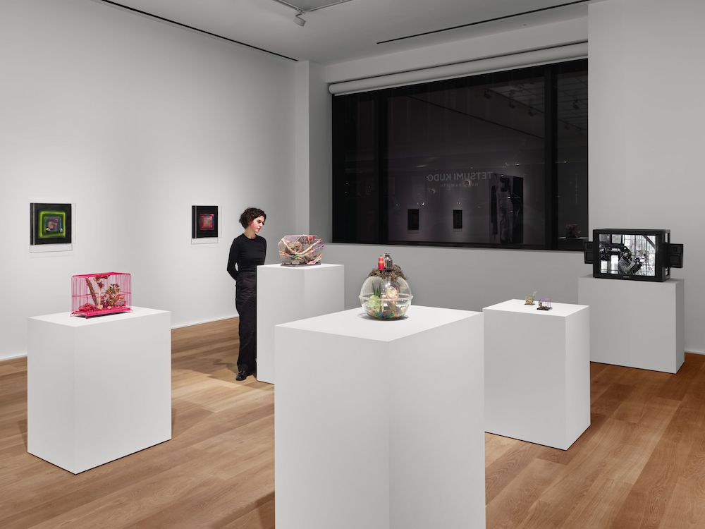 Tetsumi Kudo Hauser & Wirth 