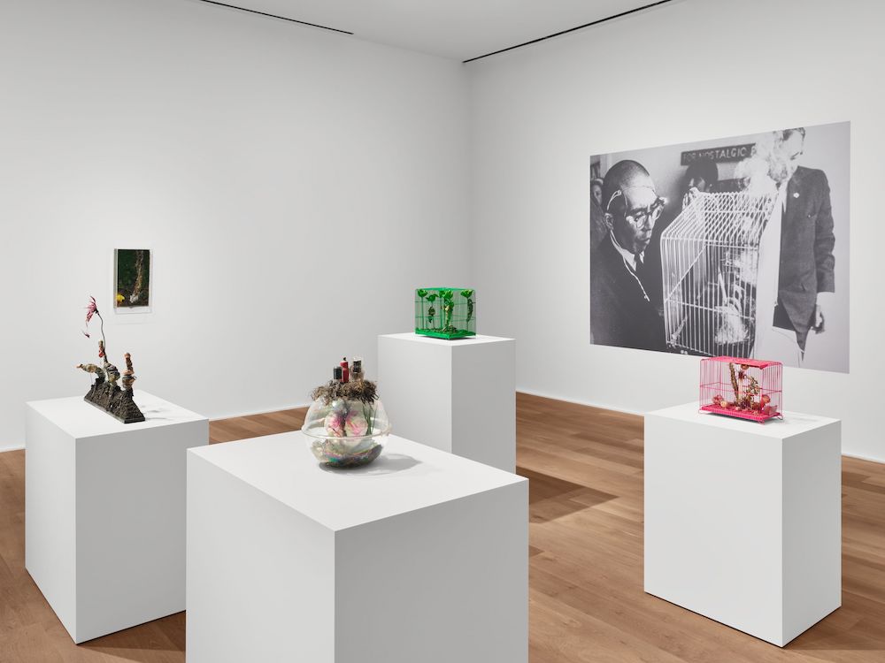 Tetsumi Kudo Hauser & Wirth 