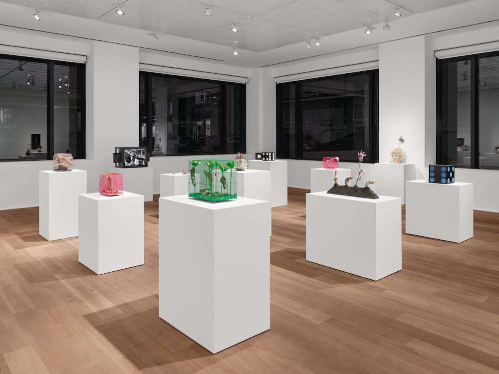 Tetsumi Kudo Hauser & Wirth 