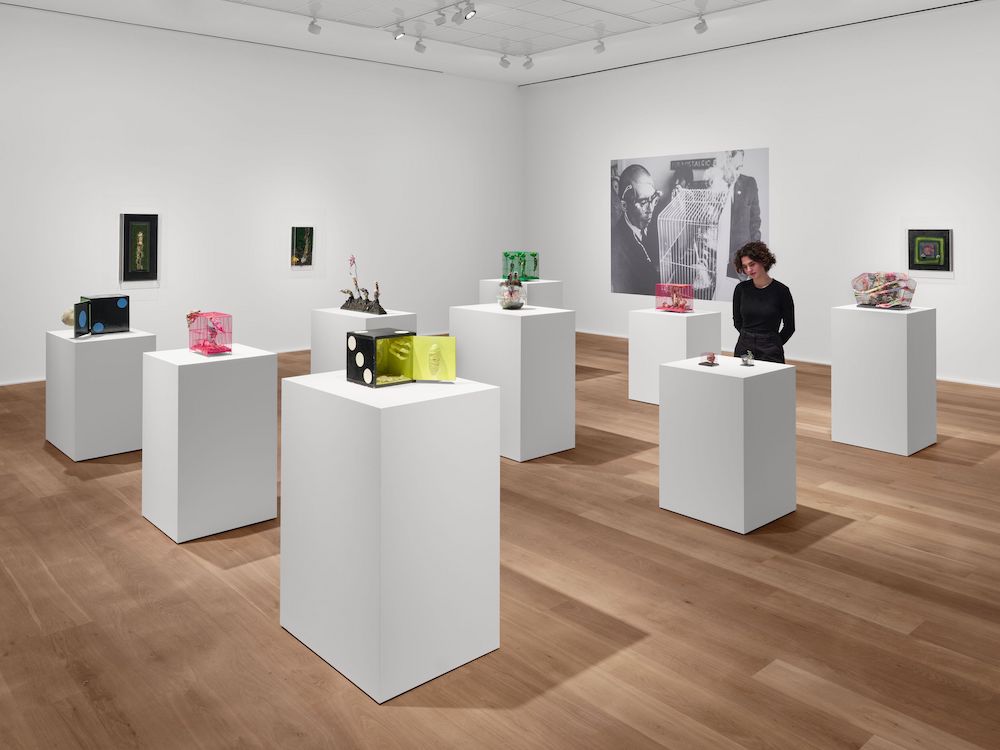 Tetsumi Kudo Hauser & Wirth 