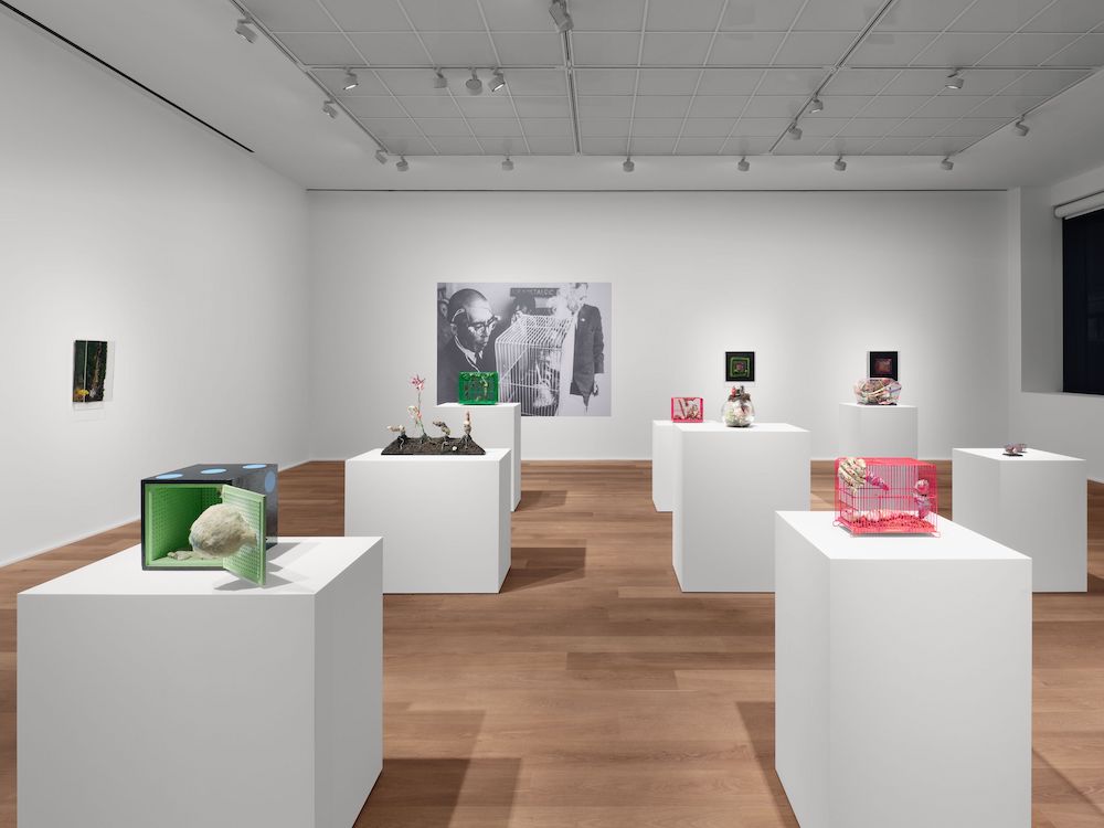 Tetsumi Kudo Hauser & Wirth 