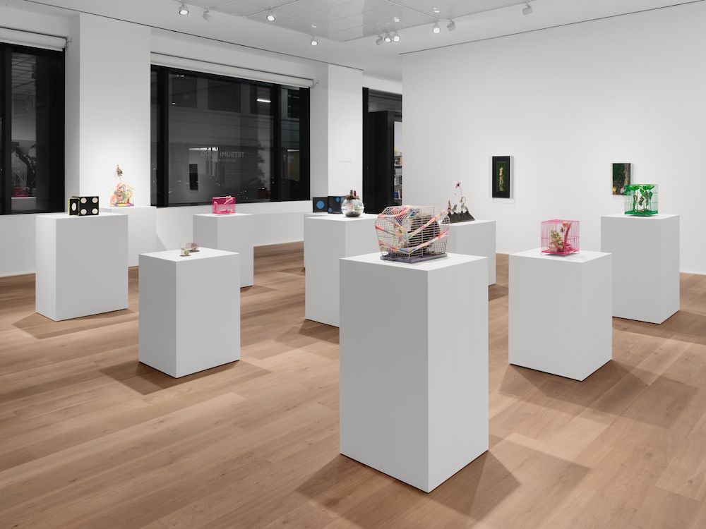 Tetsumi Kudo Hauser & Wirth 