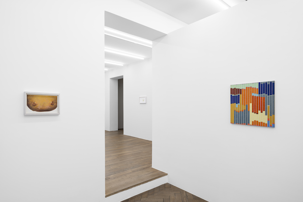 Melanie Smith Galerie Peter Kilchmann 