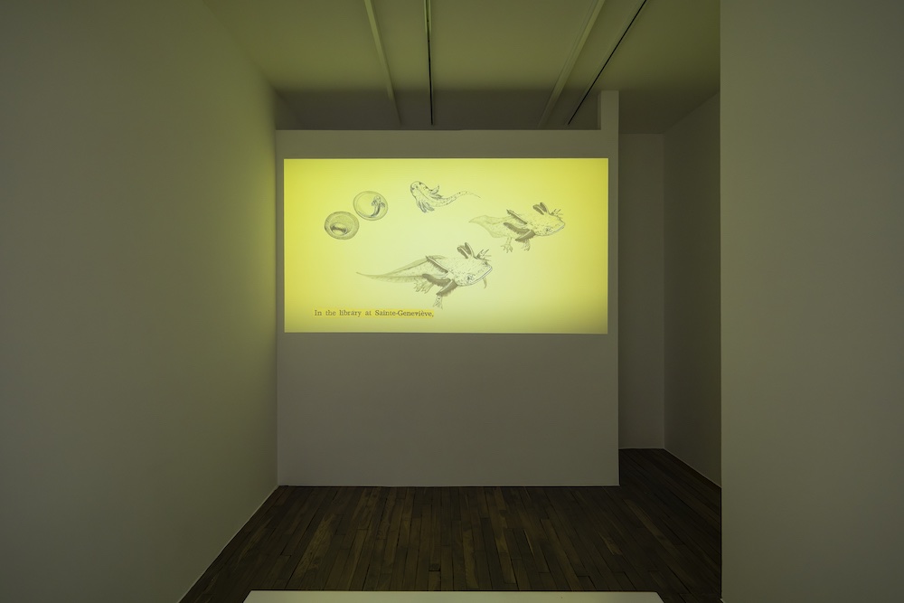 Melanie Smith Galerie Peter Kilchmann 