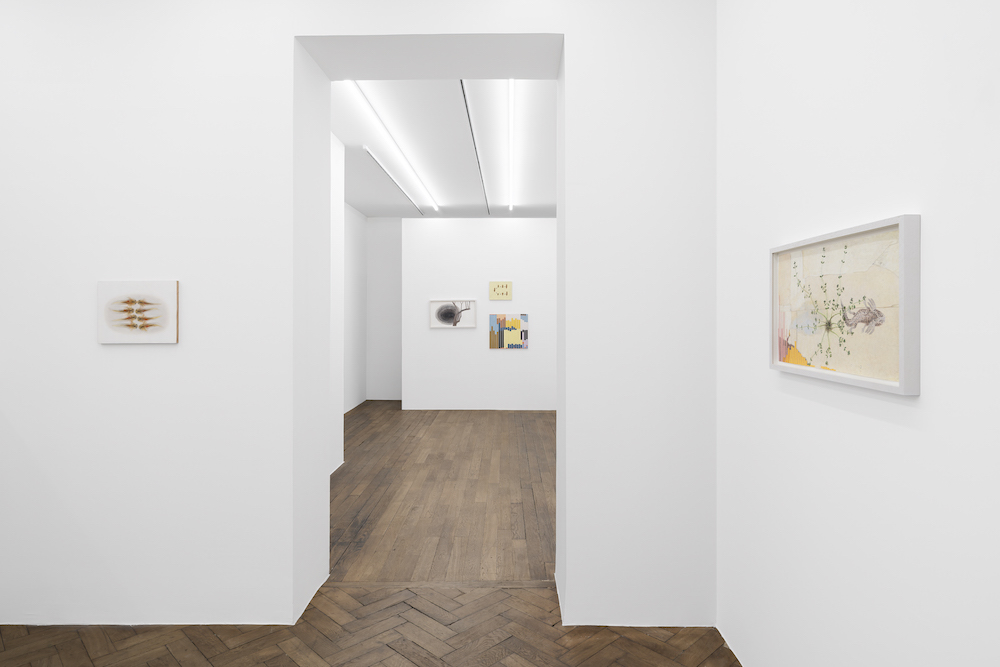 Melanie Smith Galerie Peter Kilchmann 