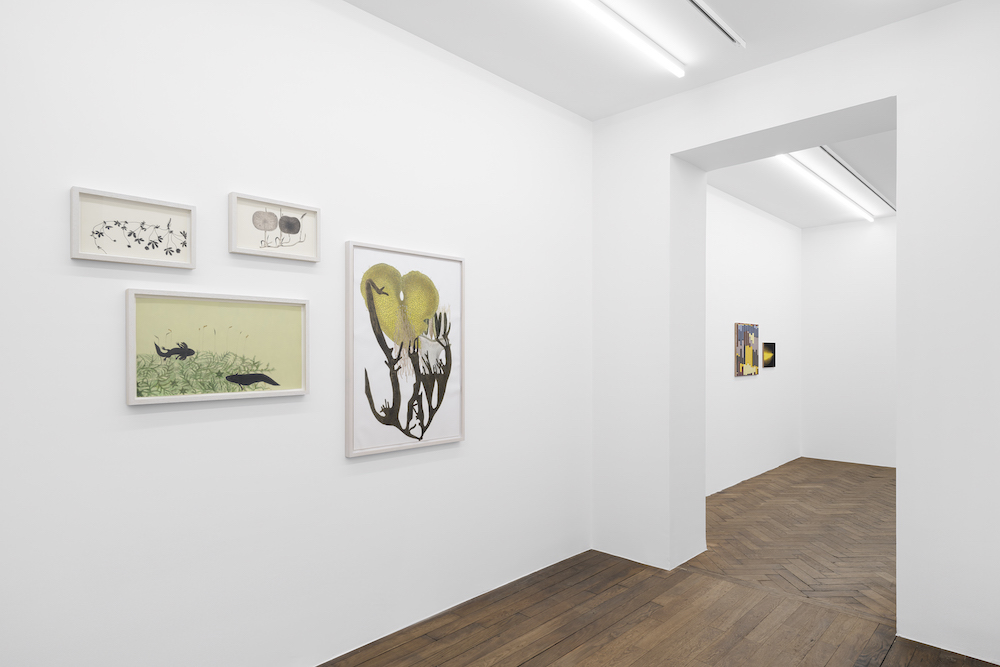 Melanie Smith Galerie Peter Kilchmann 