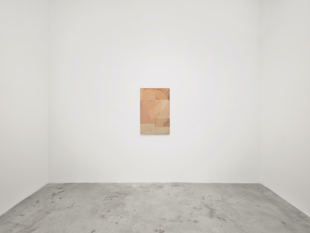 Nathlie Provosty Bortolami Gallery 