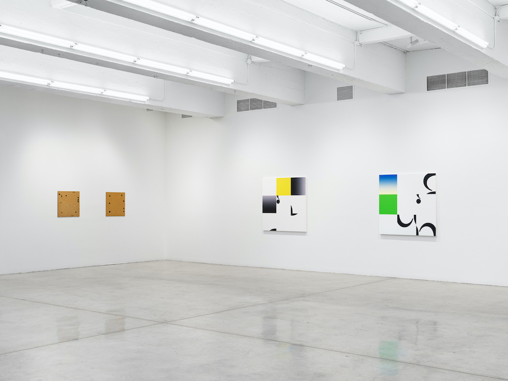 Haim Steinbach Tanya Bonakdar Gallery 