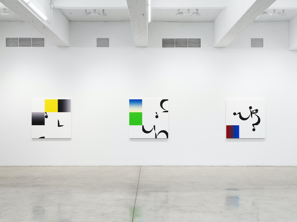 Haim Steinbach Tanya Bonakdar Gallery 